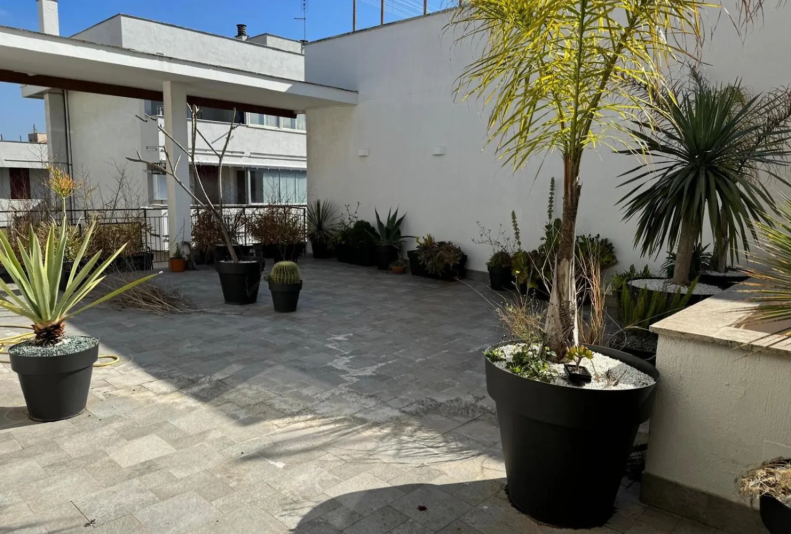 Casa Pino Apartment Lido di Ostia