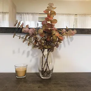 Apartment Station House